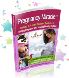 Pregnancy Miracle pdf free