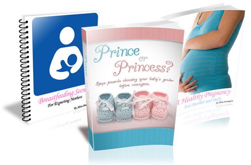 Plan My Baby aka Prince or Princess - Steps Towards Choosing Your Baby's Gender Prior to Conception free pdf download