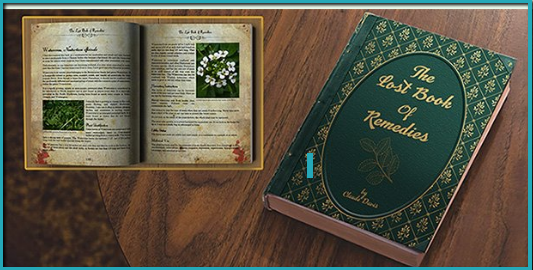 Lost Book of Remedies e-cover
